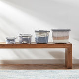 Amazon Basics Plastic Storage Containers with Secure Latching Lids, Stackable Organization Bins, Clear/Grey, 5 Quart, Set of 10
