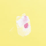 Dap 12328 DryDex Spackling Interior/Exterior, 1/2-Pint